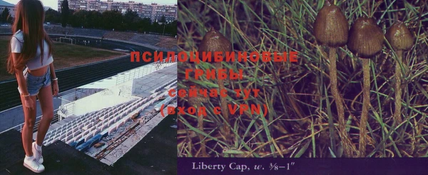 2c-b Няндома