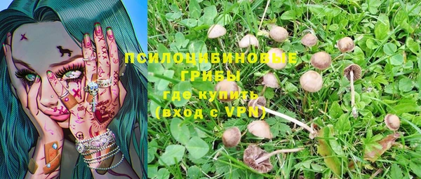 герыч Нягань