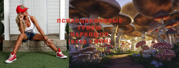 2c-b Няндома